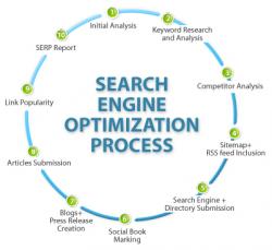 Search Engine Optimization Expert