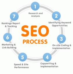 Search Engine Optimization | SEO | Volusion SEO